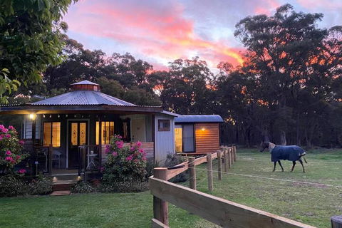 Ionaforest Yurt & Shepherds Hut - New Castle Holiday 3