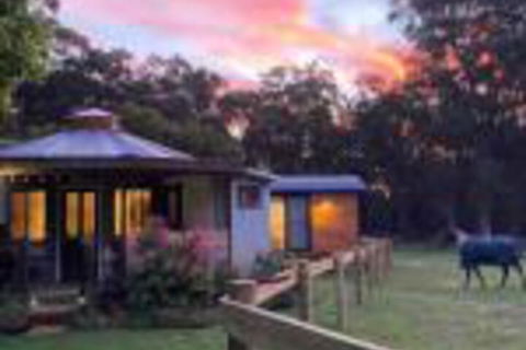 Ionaforest Yurt & Shepherds Hut - New Castle Holiday 0