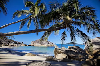 Dunk QLD New Castle Holiday