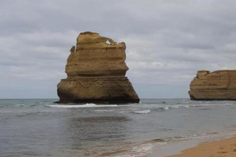 Port Central No 4 - New Castle Holiday 3