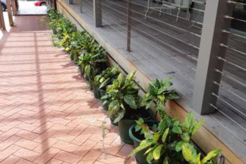 Port Central No 4 - New Castle Holiday 2