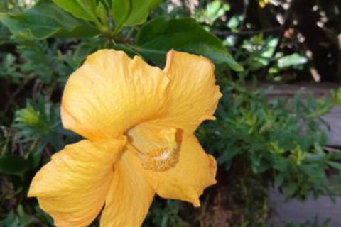 Port Central No 4 - New Castle Holiday 5