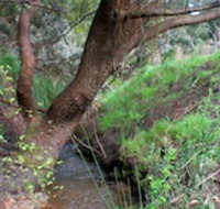 Longwood Retreat - New Castle Holiday