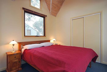 Snowdragon - New Castle Holiday 1