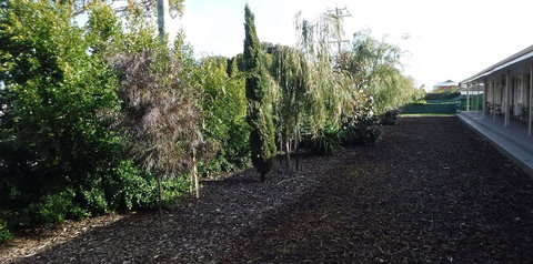 Ringtails Motel - New Castle Holiday 0