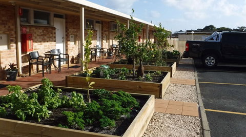 Ringtails Motel - New Castle Holiday 5