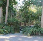 Avoca Park - New Castle Holiday