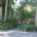 Avoca Park - New Castle Holiday 0