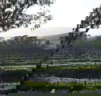 Jasmine's Cottage - New Castle Holiday