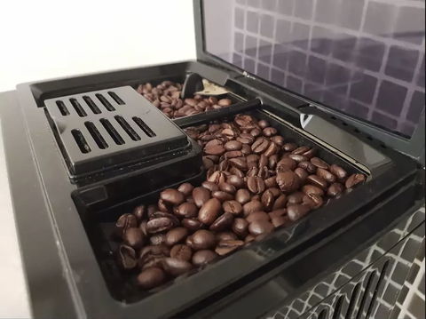 Melbourne By The Botanical Gardens - New Castle Holiday 6