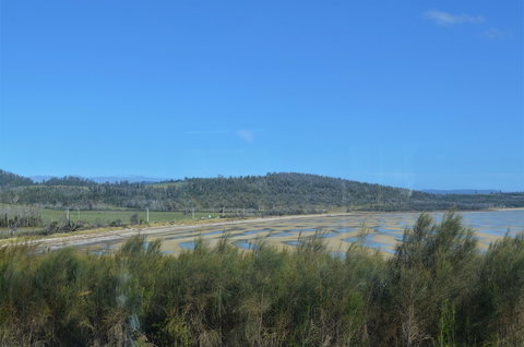 Flotsam Studio Accommodation - New Castle Holiday 2