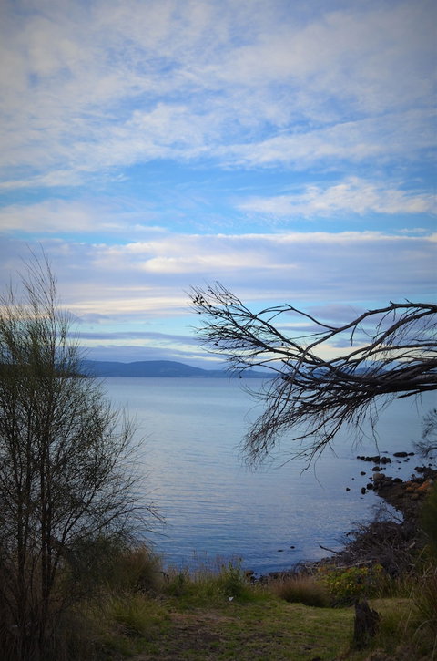 Flotsam Studio Accommodation - New Castle Holiday 4