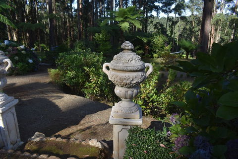Forest Edge Cottage At Merrow Cottages - New Castle Holiday 2
