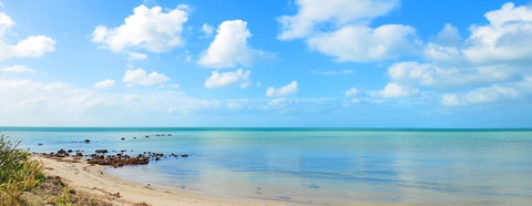 Halcyon Daze - New Castle Holiday 2