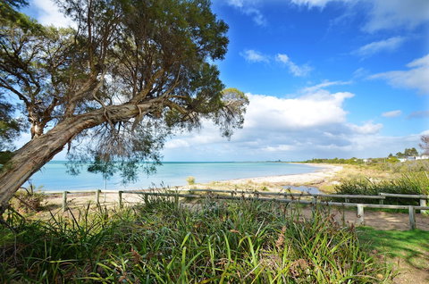 Halcyon Daze - New Castle Holiday 4