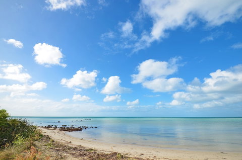 Halcyon Daze - New Castle Holiday 3