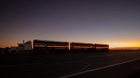 Longreach Outback Adventures - New Castle Holiday 2