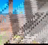 Blackbird - New Castle Holiday