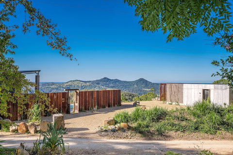 Blackbird - New Castle Holiday 1