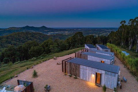 Blackbird - New Castle Holiday 2