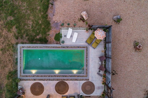 Blackbird - New Castle Holiday 6