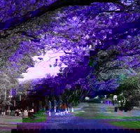 Park view on the City Fringe - New Castle Holiday