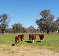 Jindera Park - New Castle Holiday