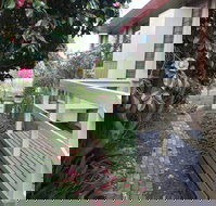 The Glen Family House - New Castle Holiday