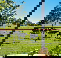 Curra Homestead Maleny - New Castle Holiday