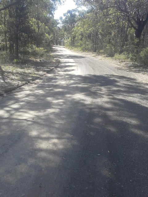 Sunsetcottages - New Castle Holiday 5