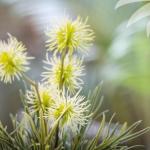 Charlotte Bay NSW New Castle Holiday