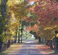 Wombeyan Caves - New Castle Holiday