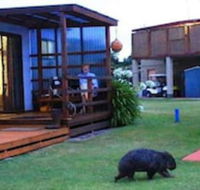 BIG4 Kelso Sands Holiday Park - New Castle Holiday