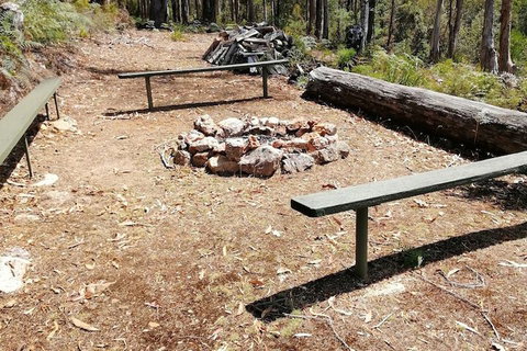 Minnow Cabins - New Castle Holiday 5