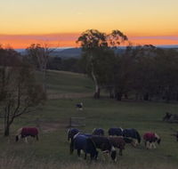 High Country Trail Rides  Farm Stay - New Castle Holiday