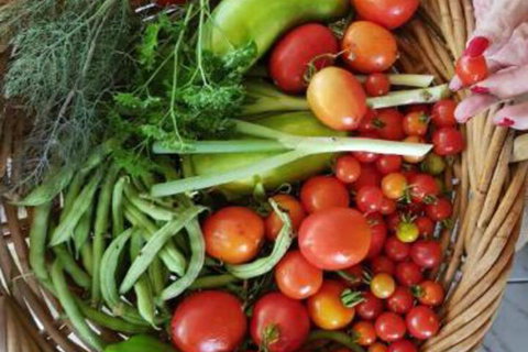 Ahvenbloem Park Winganna - New Castle Holiday 3