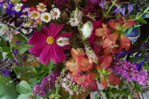 Ahvenbloem Park Winganna - New Castle Holiday 0