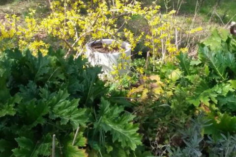 Ahvenbloem Park Winganna - New Castle Holiday 1