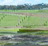 Yea Woodduck Cottage - New Castle Holiday