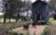 Willandra Tiny House - thumb 5