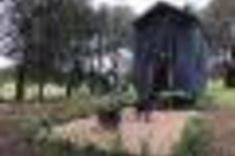 Willandra Tiny House - New Castle Holiday 5