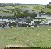 Waves and Wildlife - New Castle Holiday