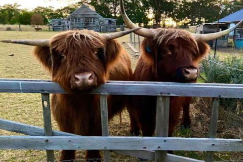 Straw House Farm B & B - New Castle Holiday 4