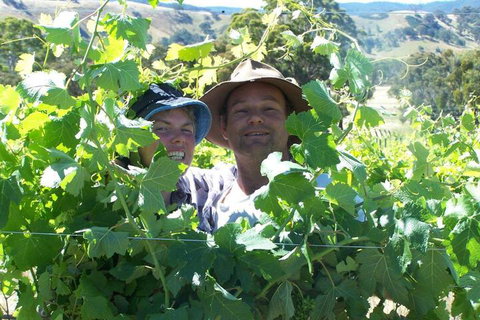 Wimmera Hills Winery - New Castle Holiday 2