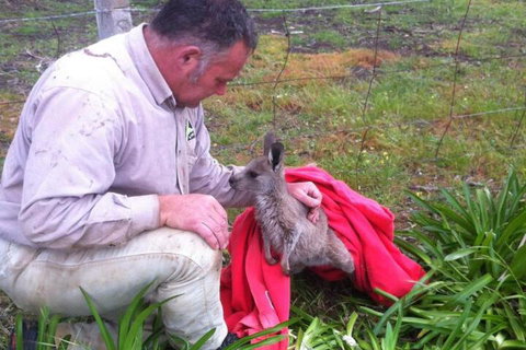 Wimmera Hills Winery - New Castle Holiday 7