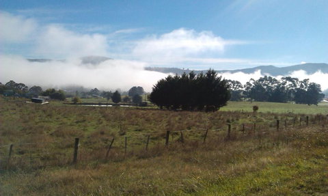 Birch Lane - New Castle Holiday 5