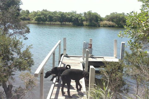 River Cottage Eagle Point - New Castle Holiday 2