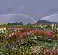 Boat Harbour Garden Cottages - New Castle Holiday
