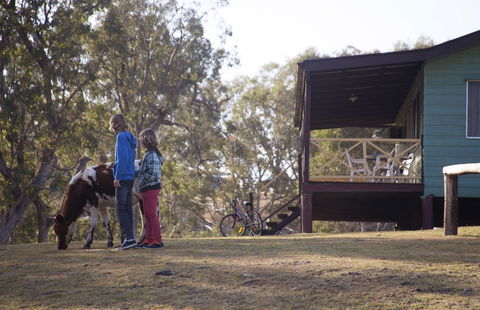 Bestbrook Mountain Resort - New Castle Holiday 4