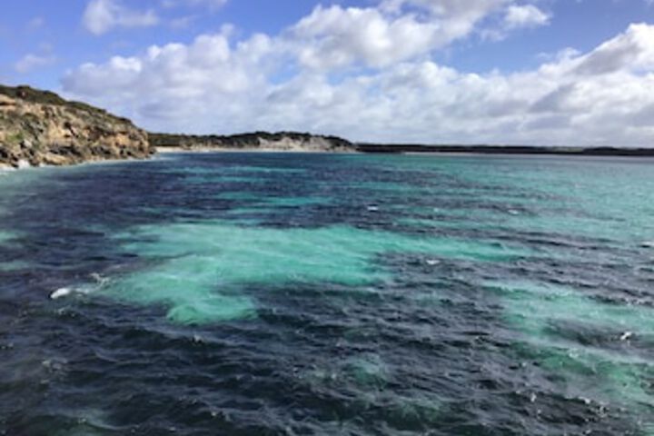 Vivonne Bay SA New Castle Holiday